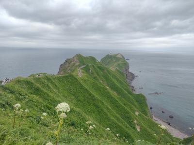 夏の北海道旅2024（4日目）バスツアーで積丹半島