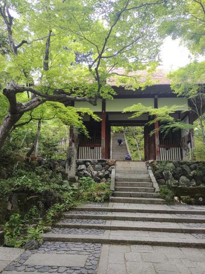 京都　2023 ５月　二人旅　2日目