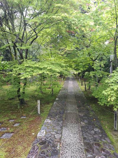 京都　2023 ５月 二人旅　3日目