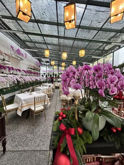 憧れのマジェスティックホテル!胡蝶蘭に囲まれてアフタヌーンティーの巻!【クアラルンプールday2②】