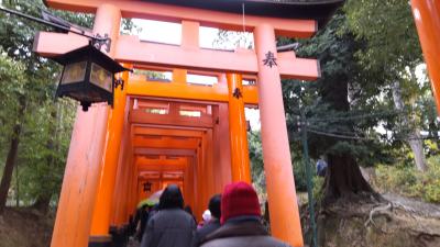 シニアのマイルで行くソウル４泊と京都４泊の８泊9日が韓国政情不安でソウルキャンセル　京都4泊5日となりました　２日目と３日目