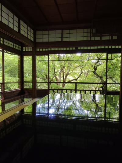 京都　2023 ５月 二人旅　4日目