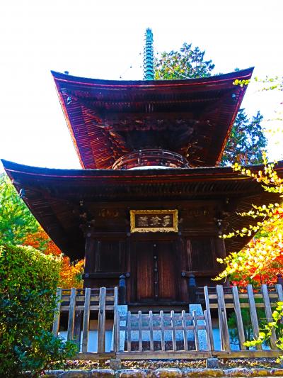 嵯峨嵐山-9　小倉山 常寂光寺　多宝塔～嵯峨野一望　☆圧巻の全山紅葉　楓大木-200本以上