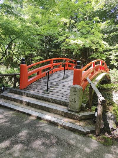 京都　2023 5月　二人旅　５日目