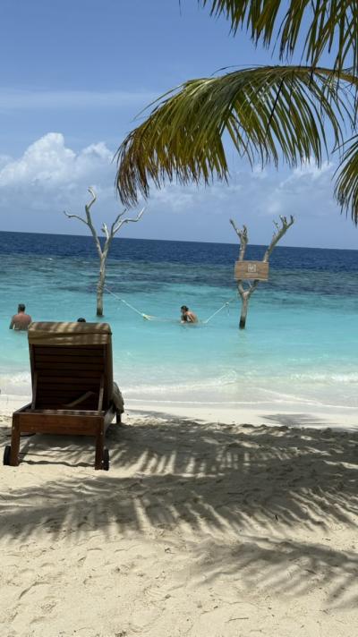 新品未開封日本未発売Michael Friedel Maldives モルディブ Maldives: Friedel, Michael: 9783929489019: Amazon.com: Books