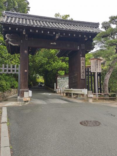 京都日帰りひとり旅　2023 6月