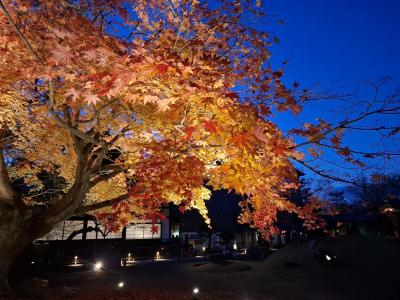 冬の京旅 百万遍さんの手づくり市~相国寺