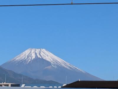 今年最後の旅は・・・伊豆に決定(^^♪