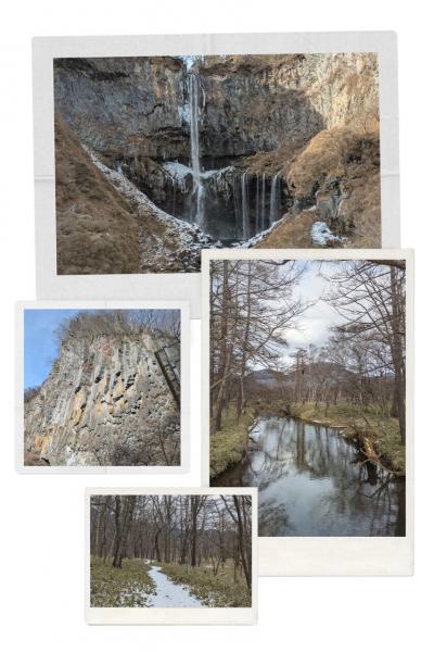 栃木の日本酒を満喫