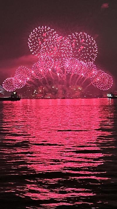 NAGOYA　ISOGAI　花火劇場　観覧　～～★冬花火は空気が澄んでるので超綺麗でした★