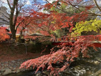 家族で行く冬の静岡ドライブ３　紅葉の修善寺温泉を歩こう　