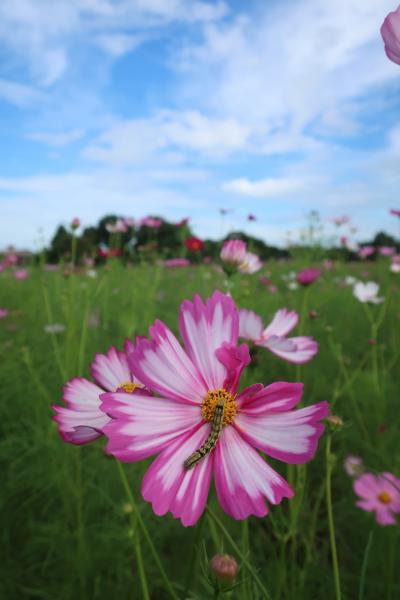 2024秋　奈良へ 母とふたり旅2