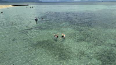 近くて暑い国　オーストラリアケアンズへ。森林に浸る旅①グリーン島