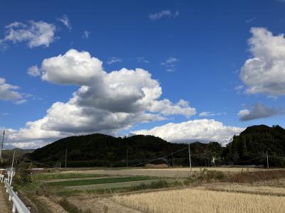 南房総里山を歩く　石堂寺 多宝塔