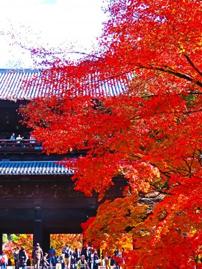 京都錦秋14　禅林寺-永観堂a　釈迦堂/御影堂/阿弥陀堂　☆見返り阿弥陀如来　特別寺宝展