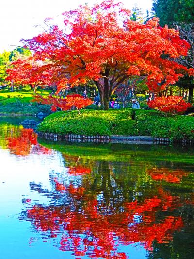 日本の風景　自然公園50周年記念 日本の風景 自然公園50周年記念