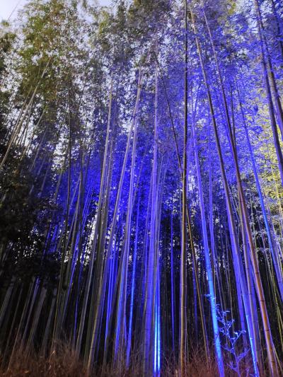 2021　12月　 京都日帰り散歩