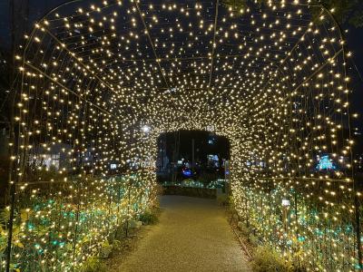 2024年12月　近場の休日２　栄でイルミネーション