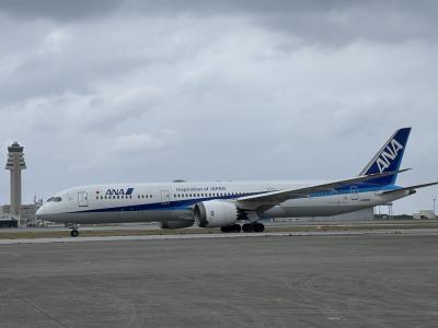 美ら島エアフェスタ2024