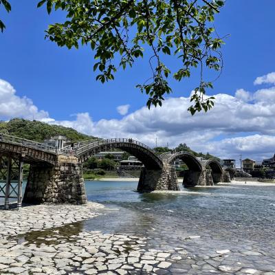 錦帯橋の桜 – Chugoku Region Tourism Guide | 中国地方観光情報