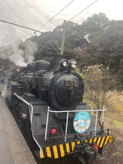 蒸気機関車に乗る