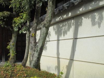 青春18きっぷ連続5日間 ～ 東は下諏訪、西は姫路まで（その4）