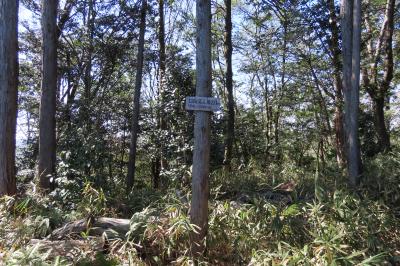 京都 京田辺 甘南備山(続)(Kannabi Mountain Hiking(cont.),Kyotanabe,Kyoto,Japan)