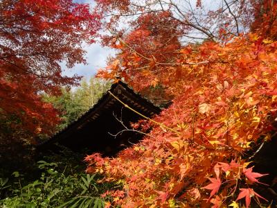 奈良～新大宮駅から歩いて行ける３つのお寺を中心に～