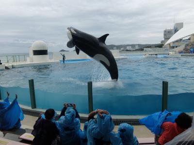 非防水カメラがとらえた決死の一枚です