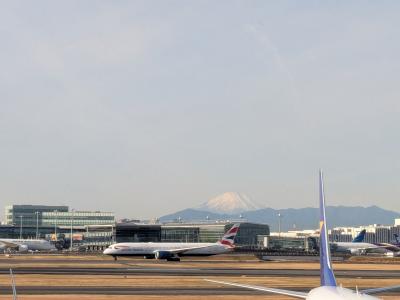 最終日・羽田から女満別に帰ります(*´▽`*)