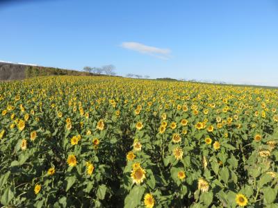 ぐるり 冬 南知多