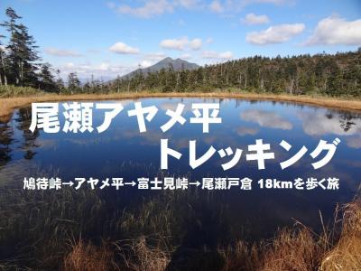 秋の尾瀬アヤメ平2023山旅・その1.毎年恒例の尾瀬アヤメ平トレッキング 18.3kmを歩く