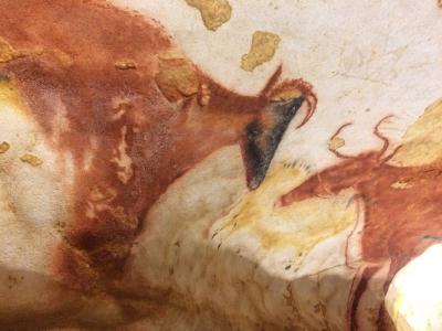 大人の社会見学 フランスのラスコー洞窟見学