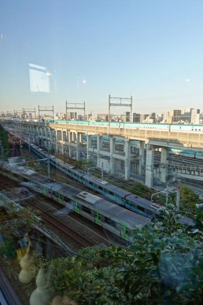 都電散歩＆田端のトレインビュー「だけじゃない」カフェでまったり【親子で東京往復記2024年1１月編その2】