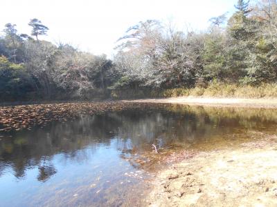 岩梯子から横池へ
