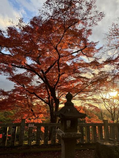 紅葉真っ盛りの犬山寂光院