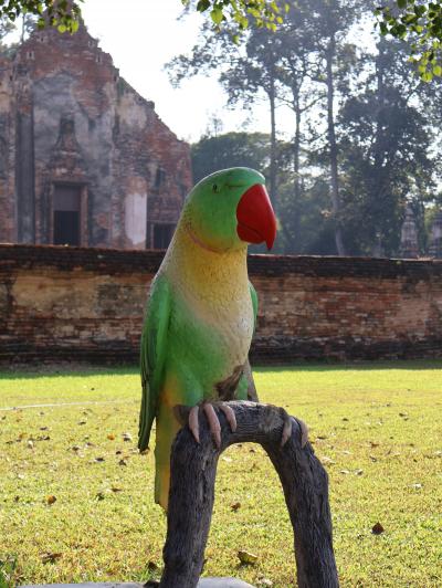 ④ ぴちぴち♪ピチット寺院巡り