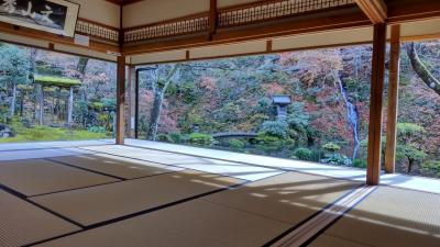 山奥のポツンと1軒宿と郡上八幡の紅葉の旅