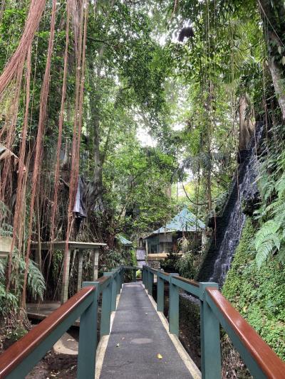 バリ島でヨガ・マッサージ三昧