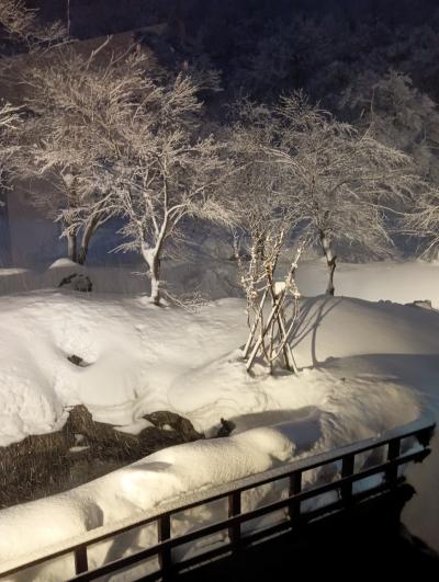 年末年始は新潟の秘湯でのんびり