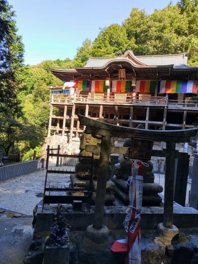 2021 10月 京都日帰り散歩