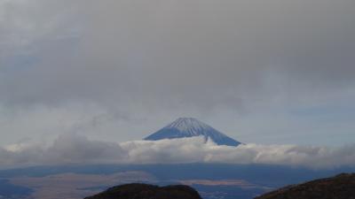 ご利益求めバスツアーで箱根三社へ参拝（辰年・2024年12月）