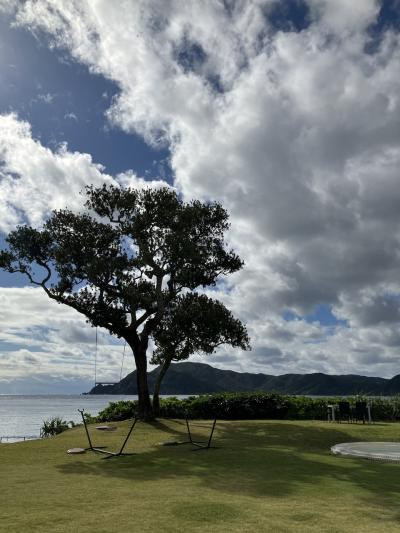 奄美大島でリトリート 2024/12