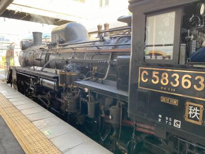 秩父散策・SLパレオエクスプレスの旅