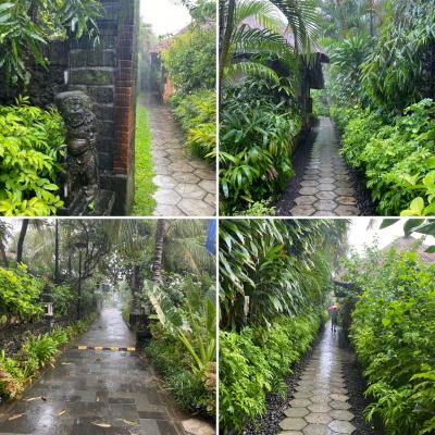 年末サヌール　バリ島　12/2024 その1 バリまで笑