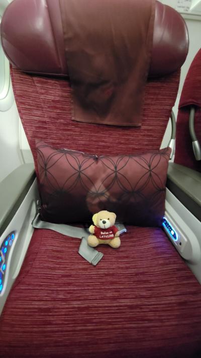 Day08-5　約7年間の思いが叶って渡航したら、身分不相応な旅になりました笑　(帰国編・身分不相応の旅の正体1)