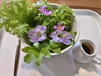 １２５回目の夫婦台湾旅行　その８