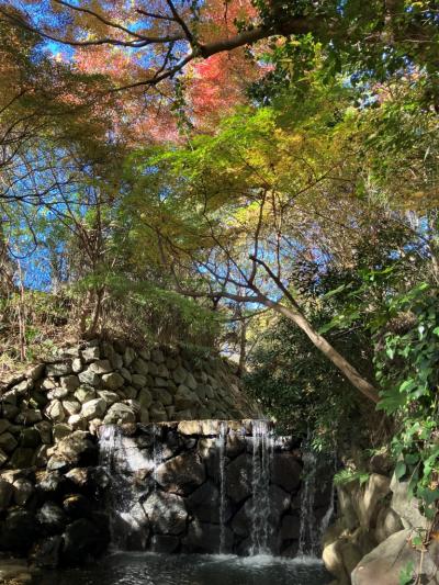 紅葉--横浜、白糸の滝--