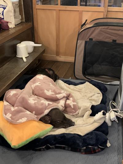 2024年の年末年始の旅は我が家全員で福岡県、もーりーの実家へ Part,1(広島)