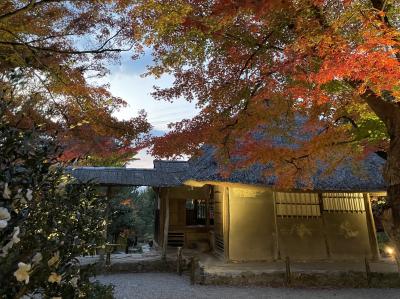 京都めぐり4-2　東山界隈紅葉寺社巡り